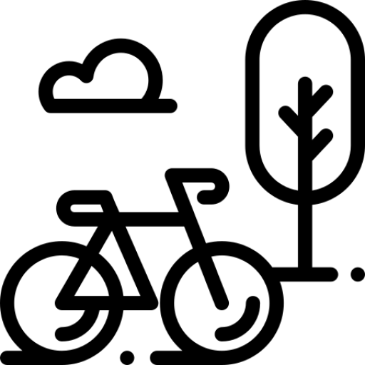 TIMP LIBER